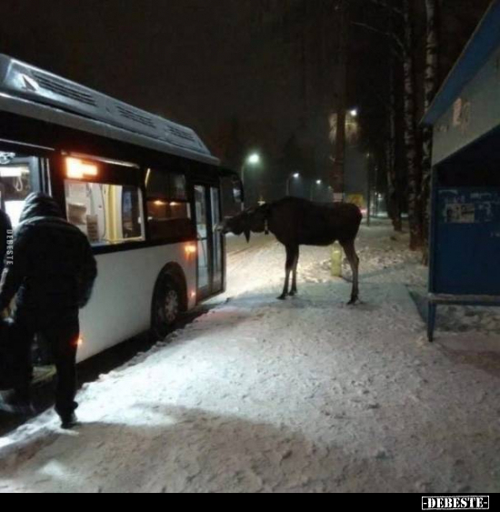  - Lustige Bilder | DEBESTE.de