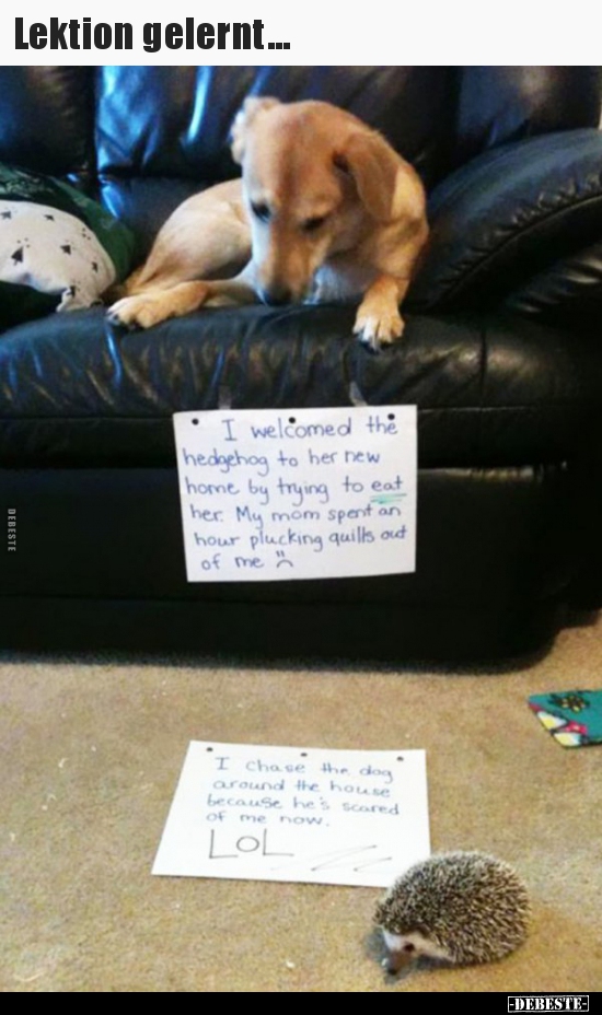 Lektion gelernt...