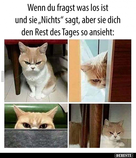 Wenn du fragst was los ist und sie "Nichts" sagt.. - Lustige Bilder | DEBESTE.de