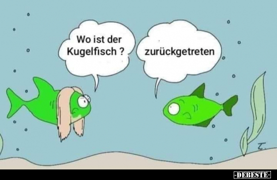 Wo ist der Kugelfisch?.. - Lustige Bilder | DEBESTE.de