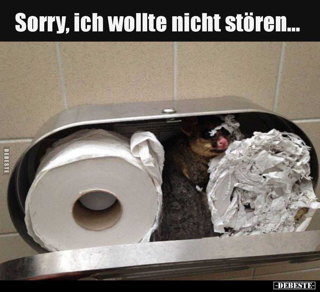 Sorry, ich wollte nicht stören...