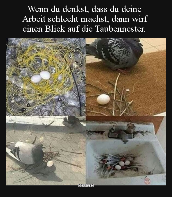 Wenn du denkst, dass du deine Arbeit schlecht machst, dann.. - Lustige Bilder | DEBESTE.de