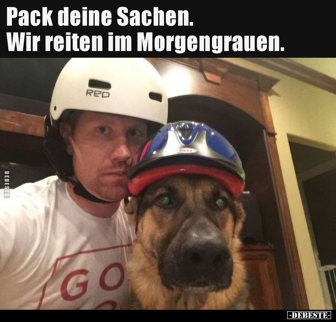 Pack deine Sachen. Wir reiten im Morgengrauen...