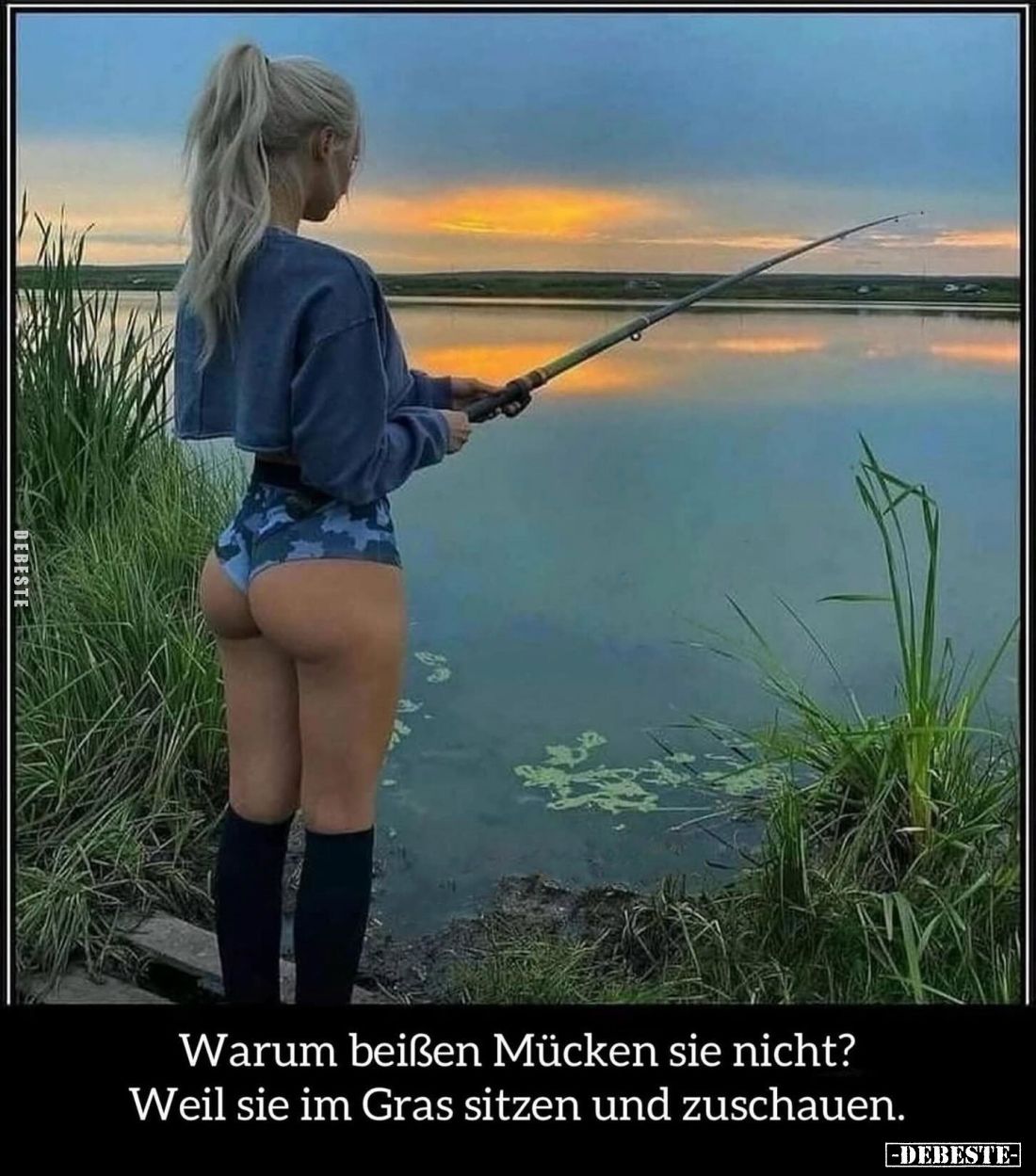 Warum beißen Mücken sie nicht?
Weil sie im Gras sitzen und zuschauen.