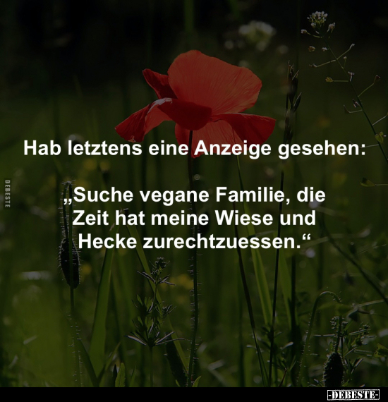 Hab letztens eine Anzeige gesehen: „Suche vegane Familie.." - Lustige Bilder | DEBESTE.de