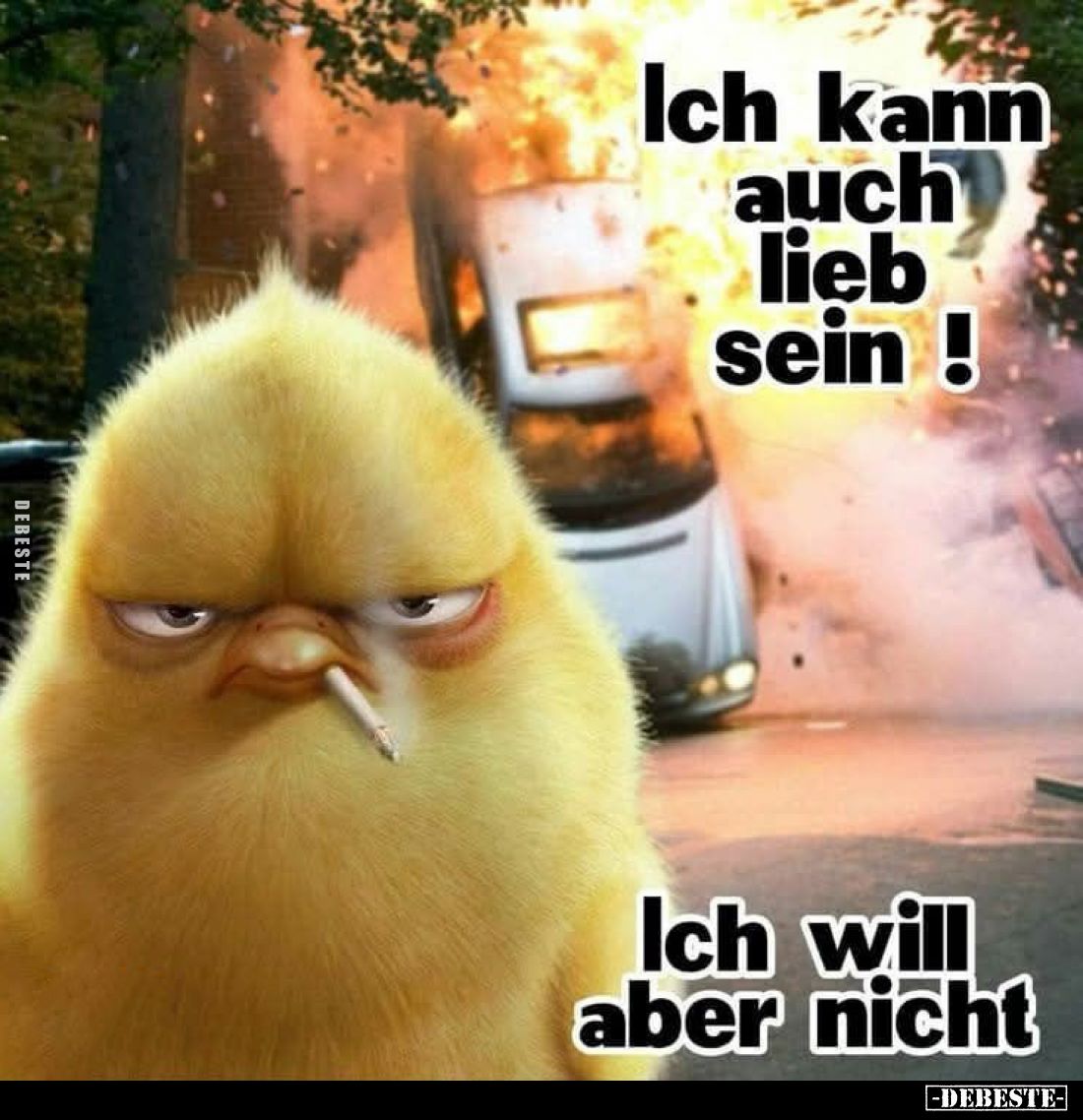 Ich kann auch lieb sein!

Ich will aber nicht.