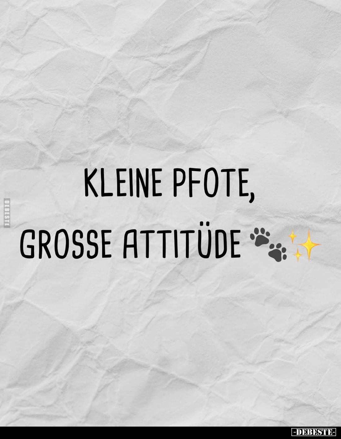 Kleine Pfote, grosse Attitüde