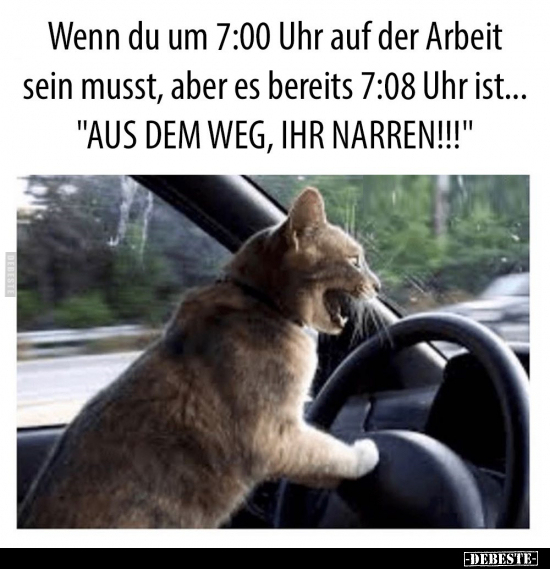 Wenn du um 7:00 Uhr auf der Arbeit sein musst, aber.. - Lustige Bilder | DEBESTE.de