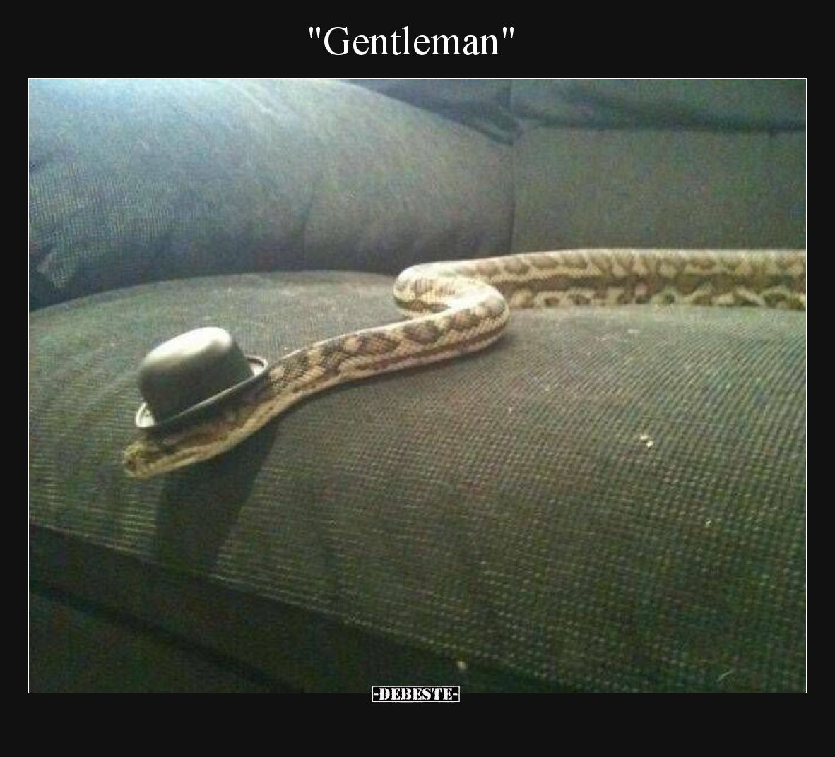 Gentleman