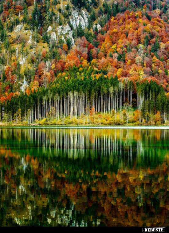  - Lustige Bilder | DEBESTE.de