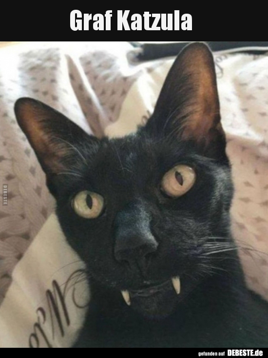 Graf Katzula..