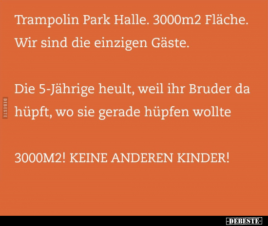 Trampolin, Bruder, Hüpfen, Kinder