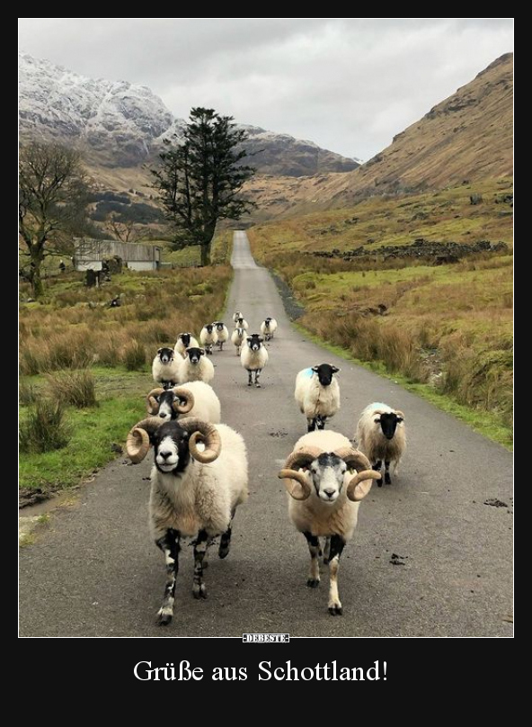 Grüße aus Schottland!.. - Lustige Bilder | DEBESTE.de