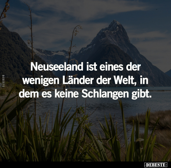 Neuseeland ist eines der wenigen Länder der Welt.. - Lustige Bilder | DEBESTE.de