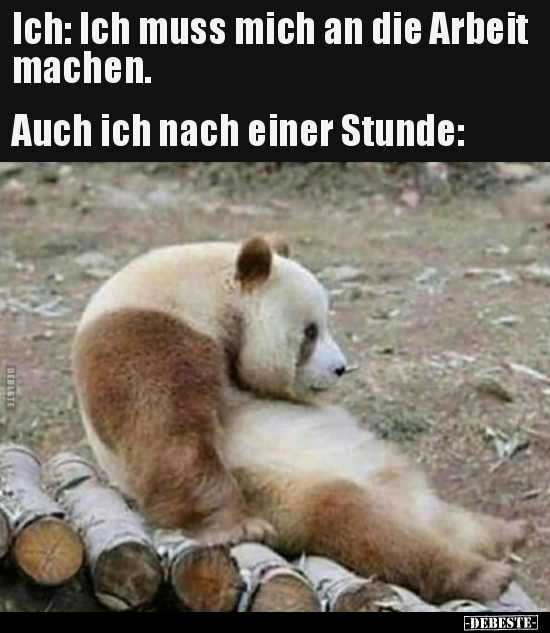 Ich: Ich muss mich an die Arbeit machen...