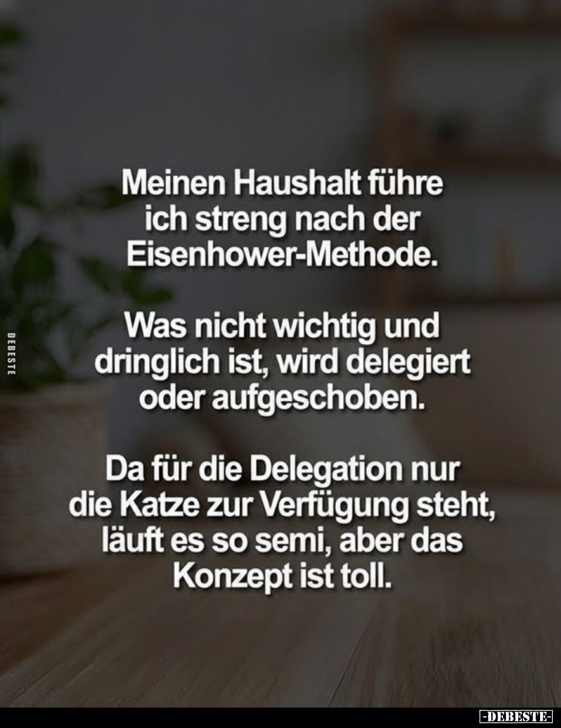 Meinen Haushalt führe ich streng nach der.. - Lustige Bilder | DEBESTE.de