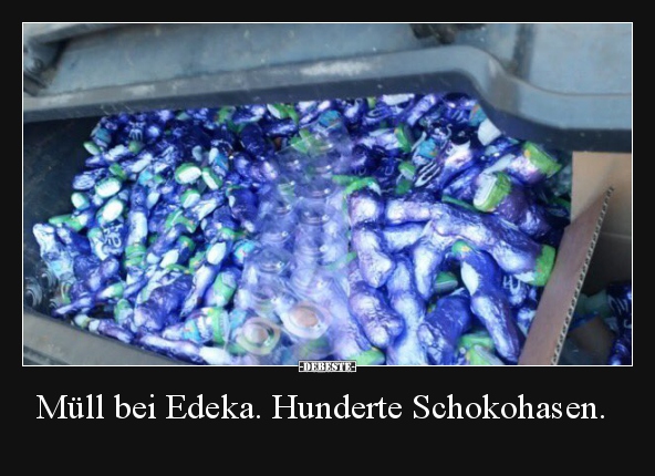 Müll bei Edeka. Hunderte Schokohasen... - Lustige Bilder | DEBESTE.de