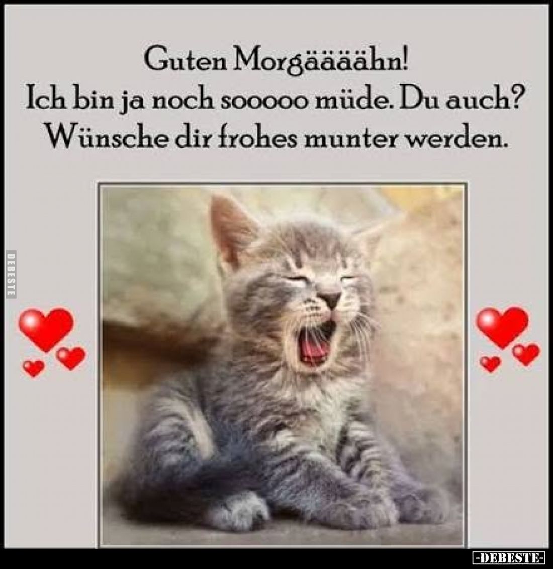 Guten Morgäääähn!
Ich bin ja noch sooooo müde. Du auch?
Wünsche dir frohes munter werden.