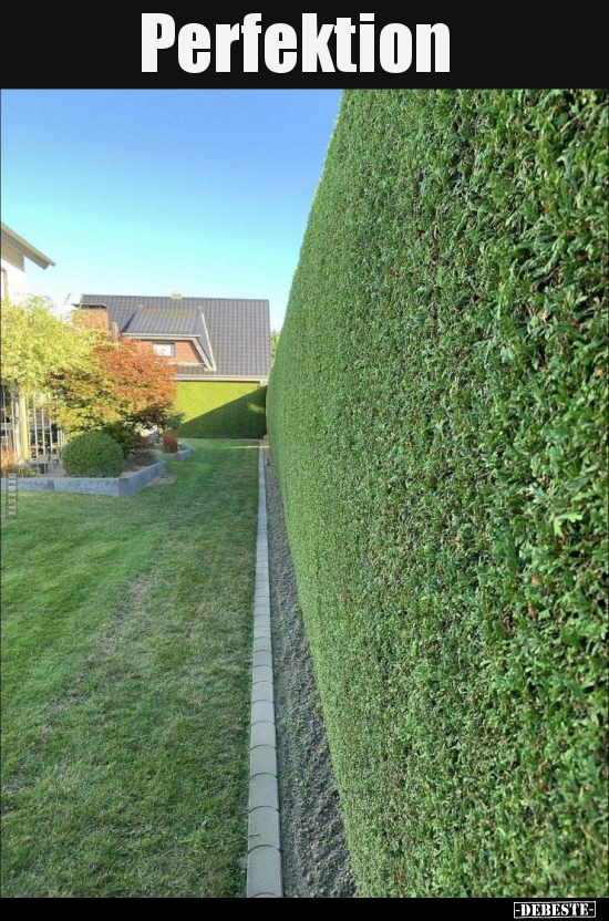 Perfektion..