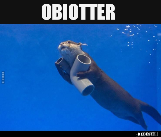 OBIOTTER..