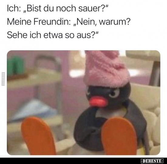 Ich: "Bist du noch sauer?" Meine Freundin: "Nein.." - Lustige Bilder | DEBESTE.de