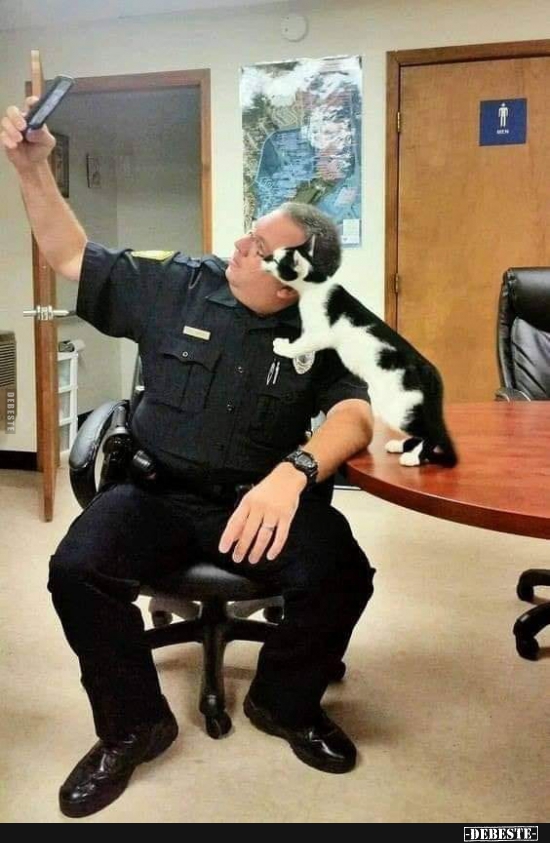 selfie lustig, polizei lustige bilder, katzen