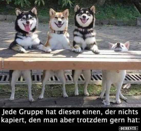 Jede Gruppe hat diesen einen, der nichts kapiert, den man..