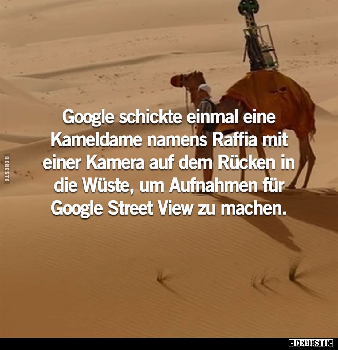 Google schickte einmal eine Kameldame namens Raffia mit einer Kamera auf dem Rücken in die Wüste, um Aufnahmen für Google Str...