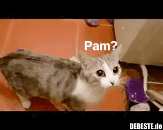 Ich werde dich retten..!