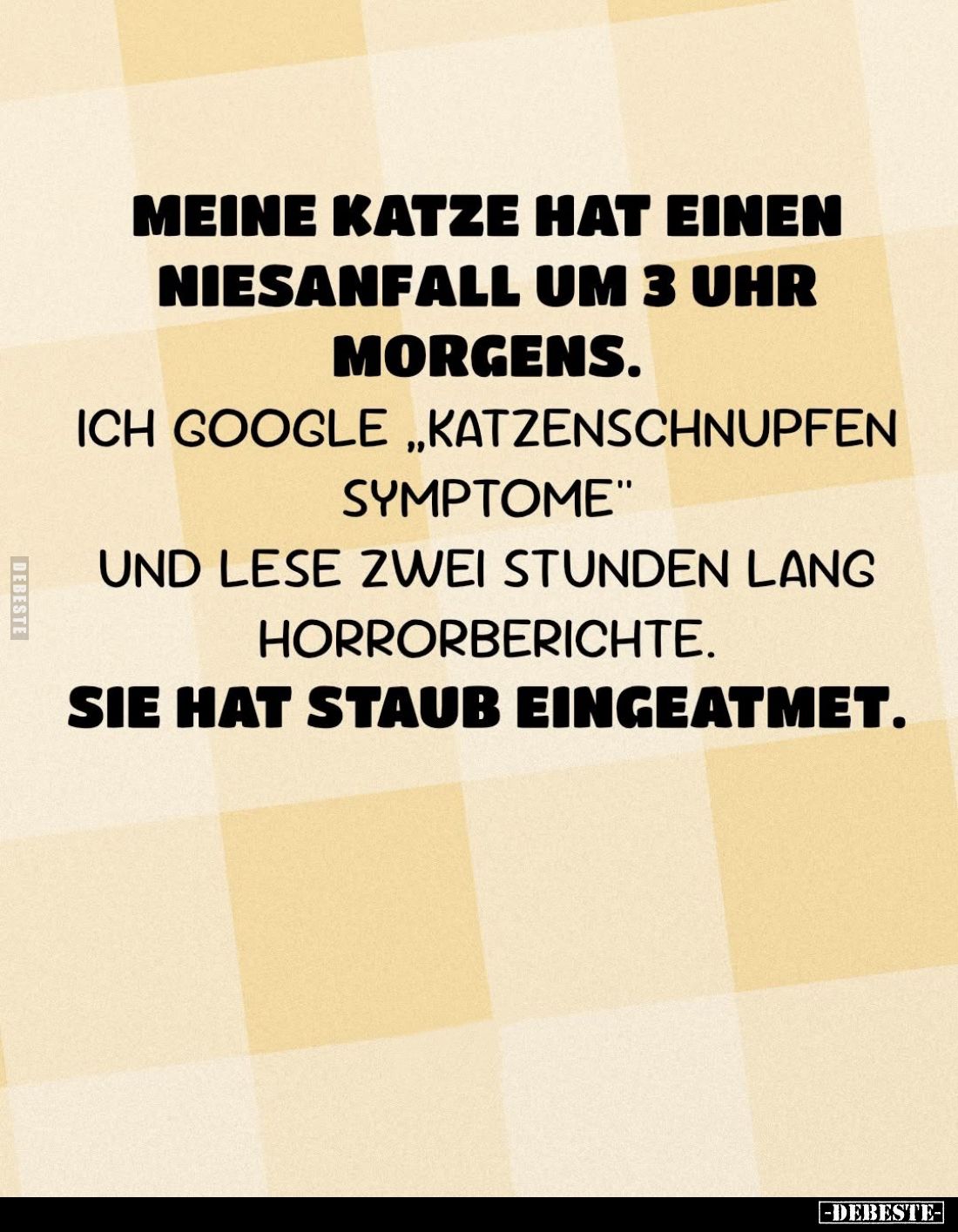 Meine Katze hat einen Niesanfall um 3 Uhr morgens.
Ich google "Katzenschnupfen Symptome" und lese zwei Stunden lan...