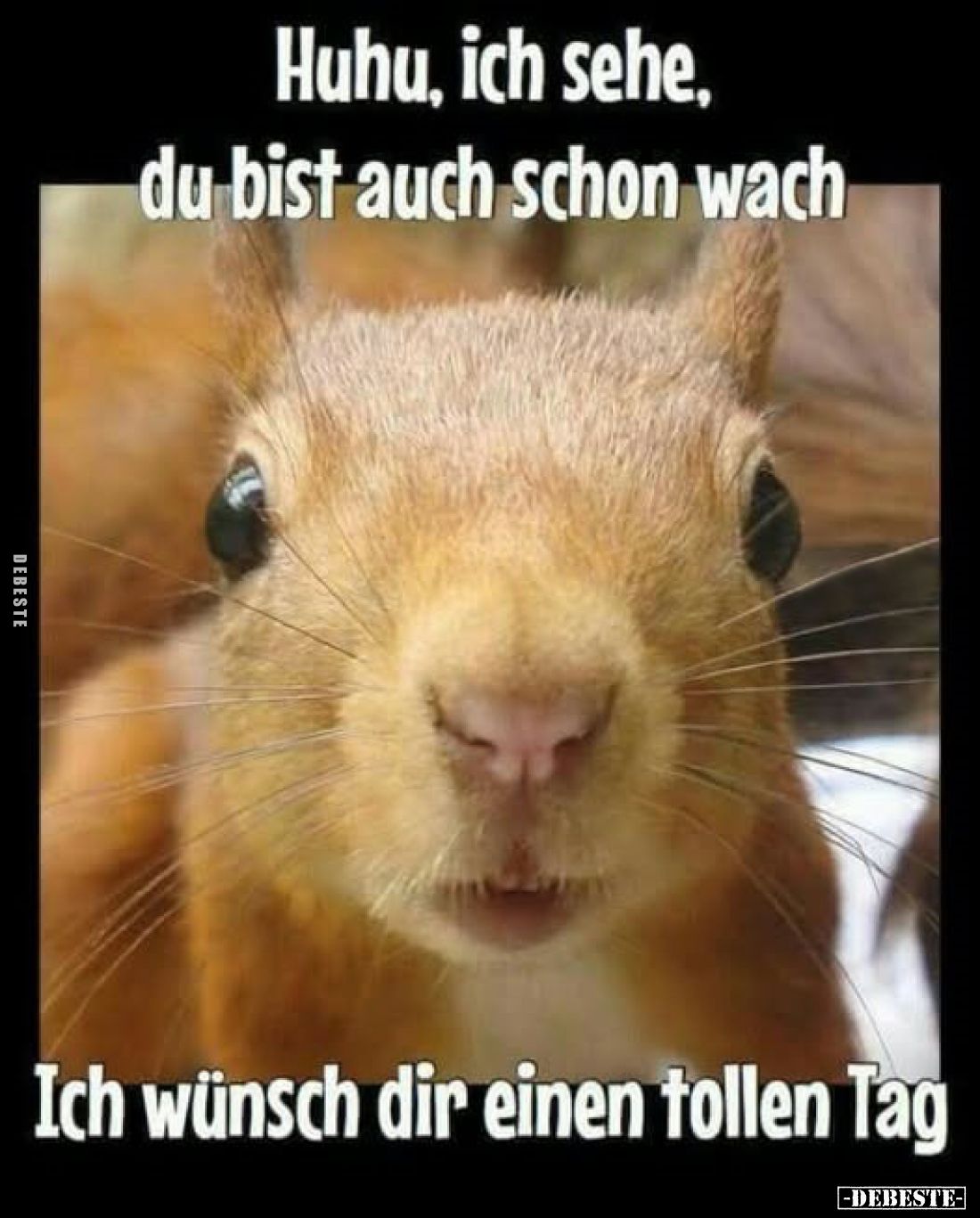 Huhu, ich sehe, du bist auch schon wach.
Ich wünsch dir einen tollen Tag.