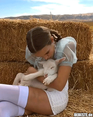 Mary hat ein kleines Lamm..