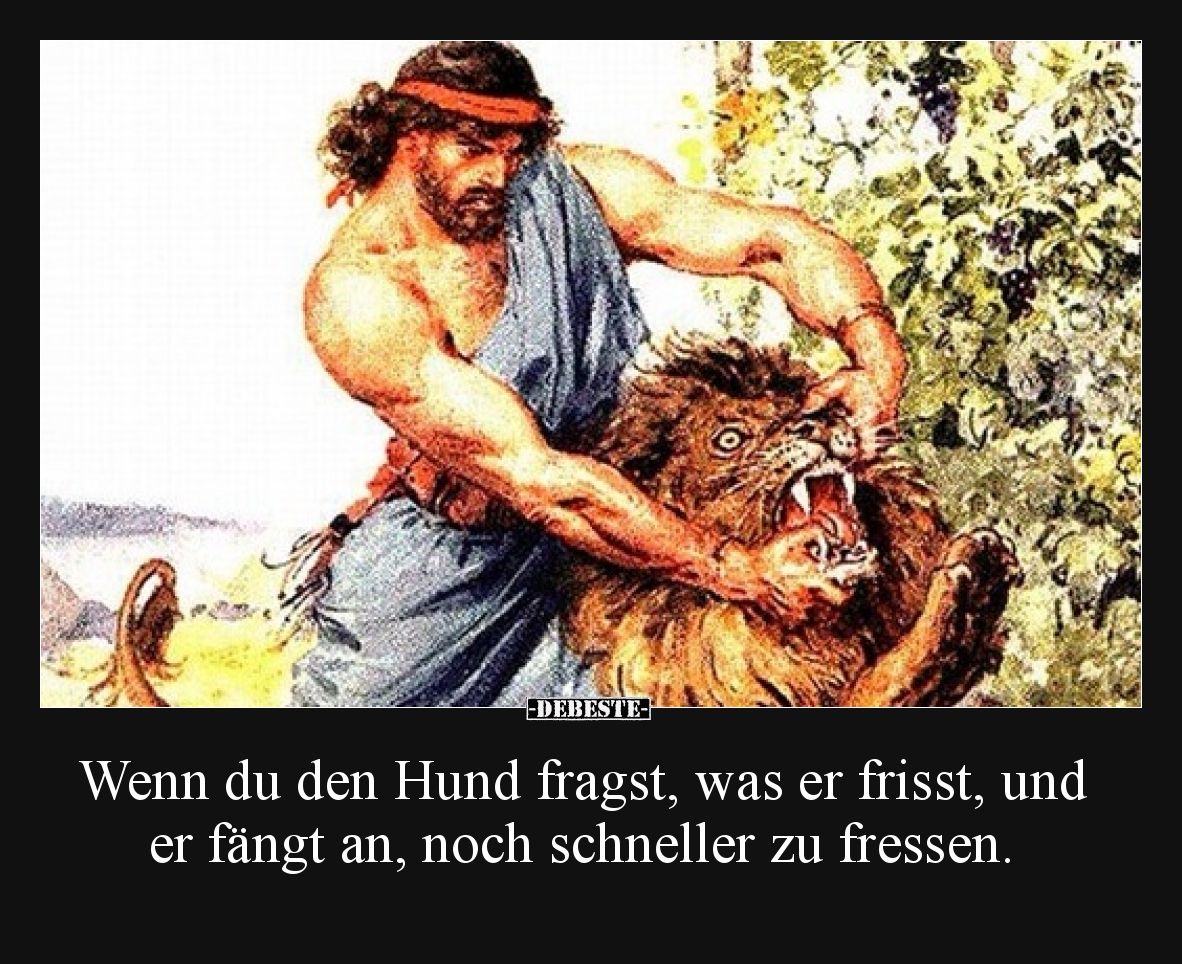 Wenn du den Hund fragst, was er frisst, und er fängt an, noch schneller zu fressen.