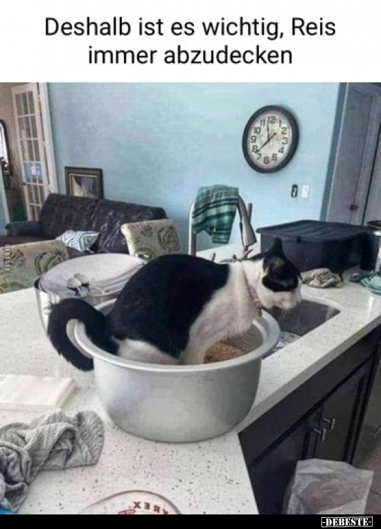 Deshalb ist es wichtig, Reis immer abzudecken