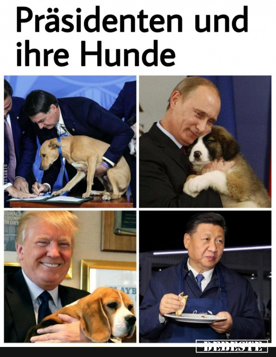  - Lustige Bilder | DEBESTE.de