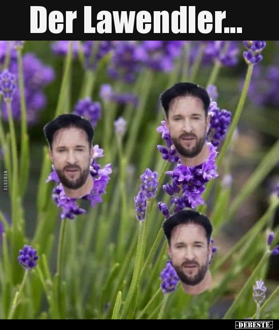 Der Lawendler...