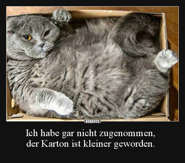 Ich habe gar nicht zugenommen, der Karton ist kleiner.. - Lustige Bilder | DEBESTE.de