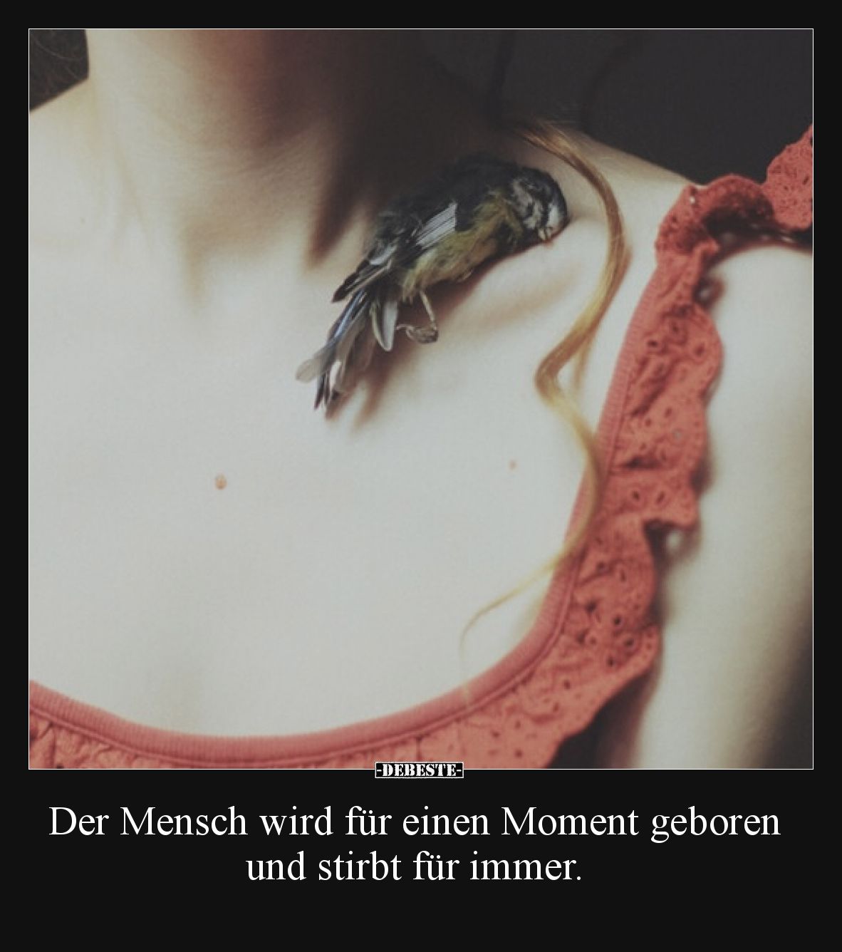 Der Mensch wird für einen Moment geboren und stirbt für immer.