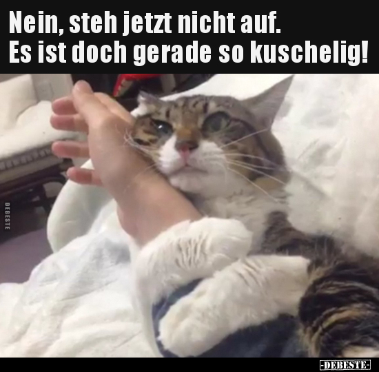 Nein, steh jetzt nicht auf. Es ist doch gerade so..