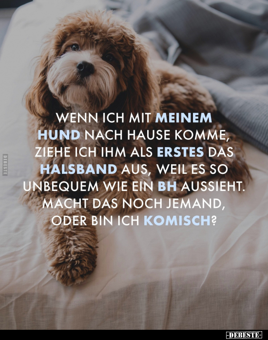 Wenn ich mit meinem Hund nach Hause komme.. - Lustige Bilder | DEBESTE.de