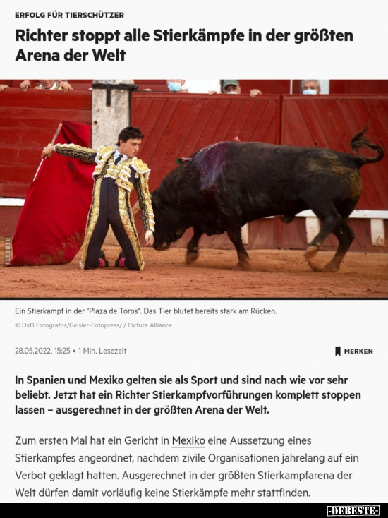 Richter stoppt alle Stierkämpfe in der größten Arena der.. - Lustige Bilder | DEBESTE.de
