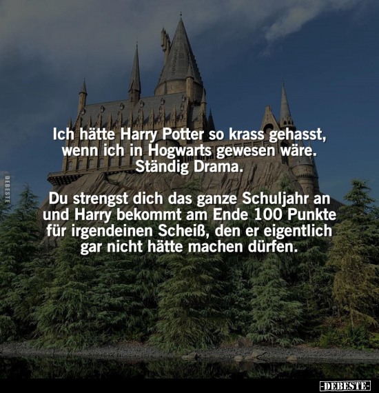 Ich hätte Harry Potter so krass gehasst.. - Lustige Bilder | DEBESTE.de