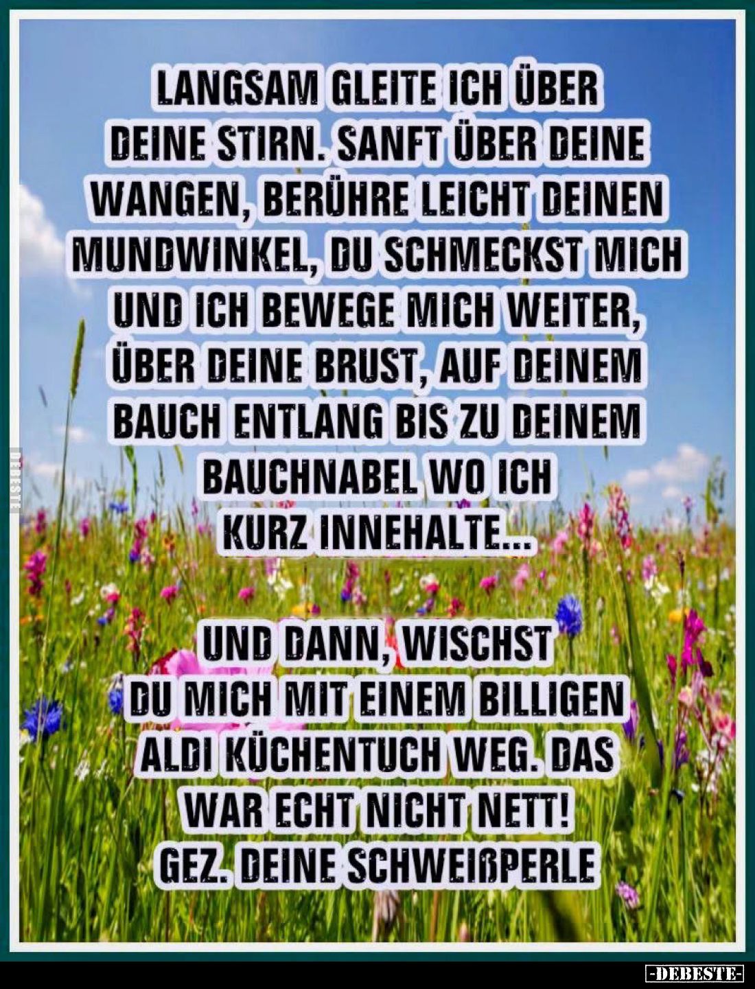 Langsam gleite ich über deine Stirn. Sanft über deine Wangen, berühre leicht deinen Mundwinkel, du schmeckst mich und ich bew...