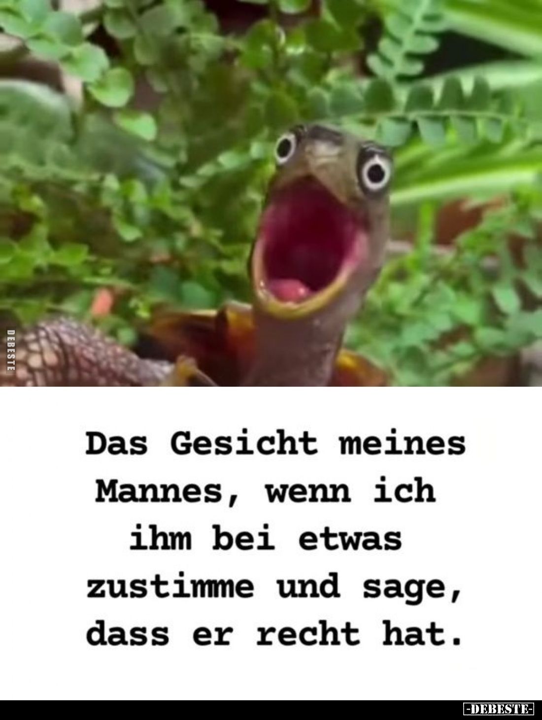 Das Gesicht meines Mannes, wenn ich ihm bei etwas zustimme und sage, dass er recht hat.