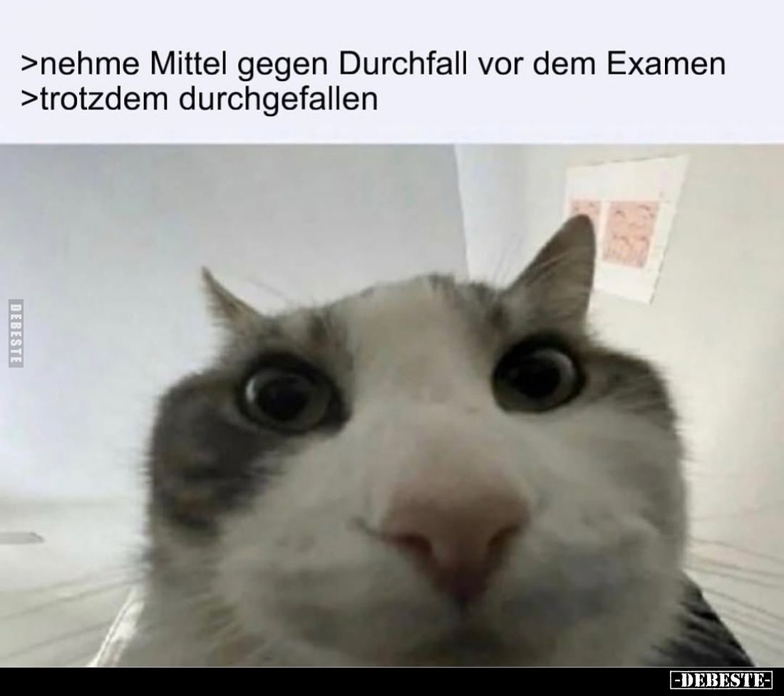 >nehme Mittel gegen Durchfall vor dem Examen
>trotzdem durchgefallen