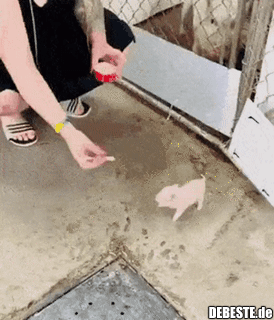 Süßer wirds heute nicht mehr..