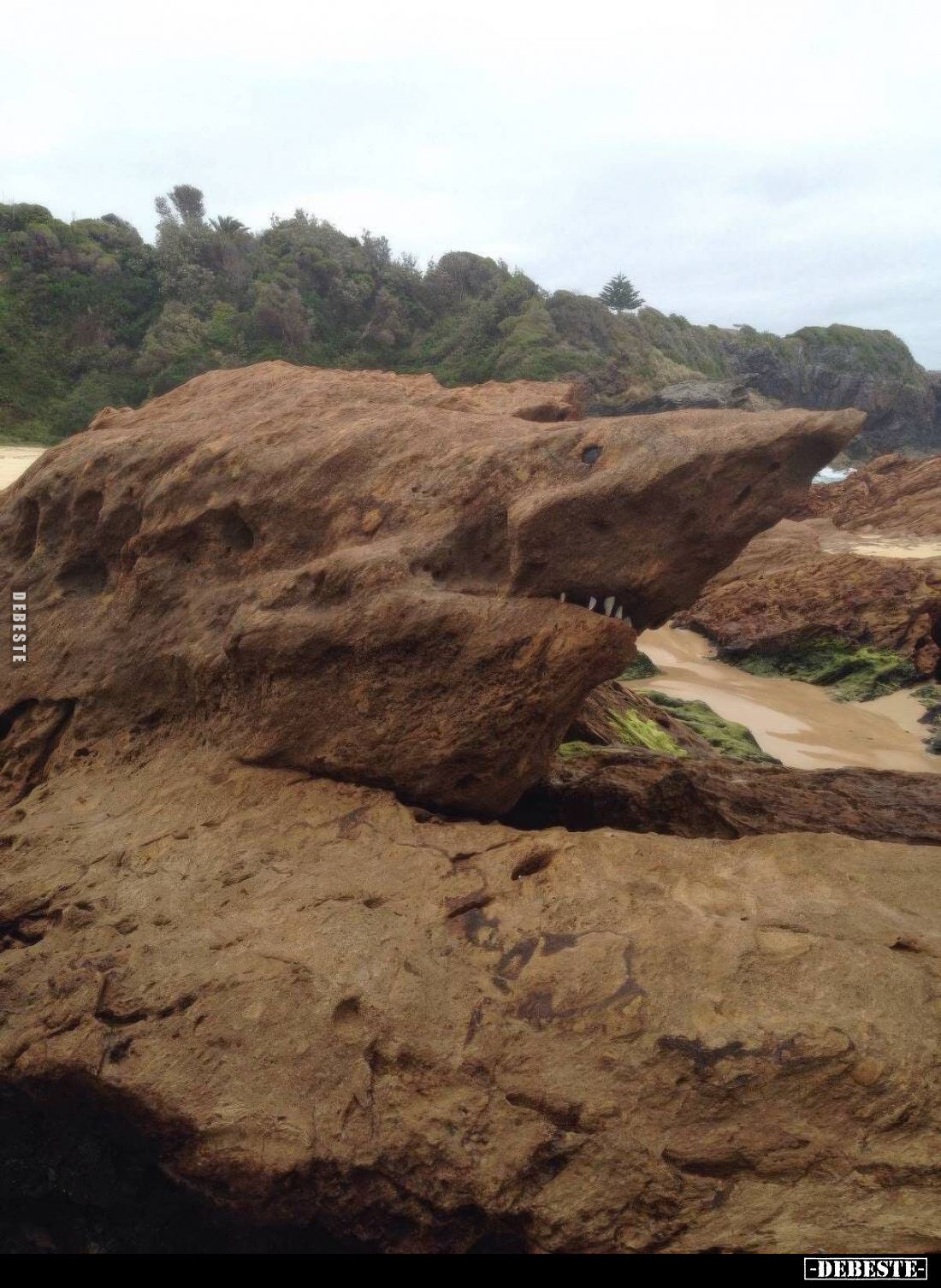  - Lustige Bilder | DEBESTE.de