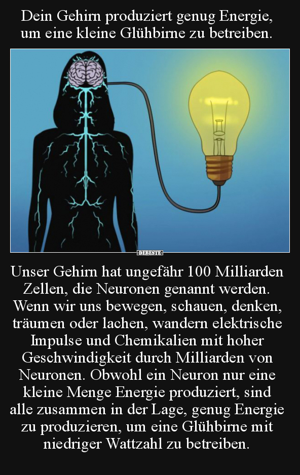 Dein Gehirn produziert genug Energie, um eine kleine..