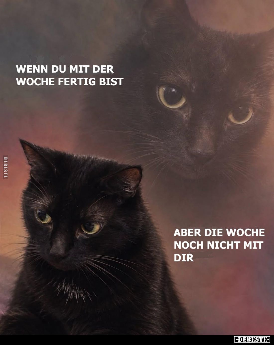 Wenn du mit der Woche fertig bist, 

aber die Woche noch nicht mit dir
