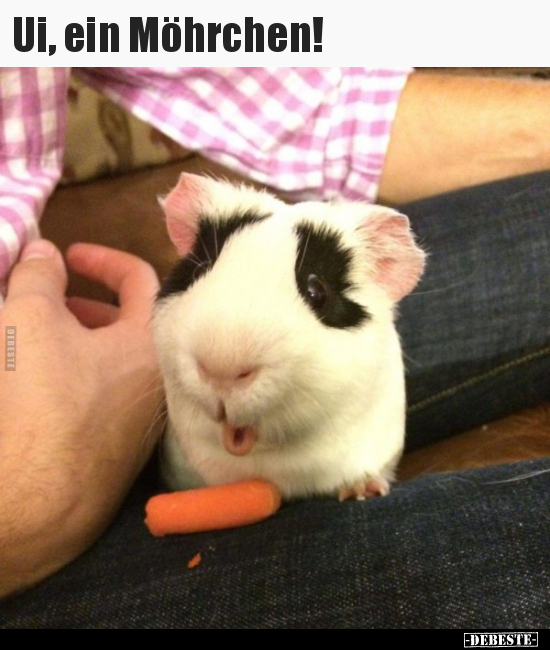 Ui, ein Möhrchen!